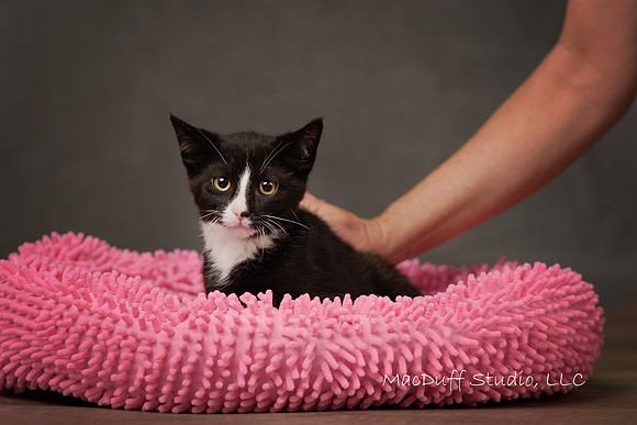 Zander 6-2017 (c) Karen Squires sig