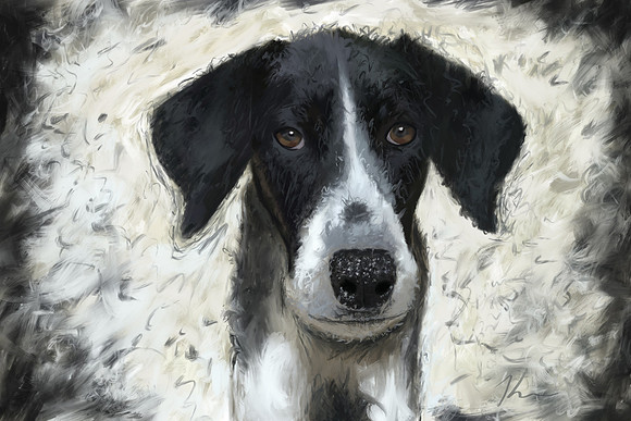 "That Expression!" 2017 (C)Karen MacDuff Squires