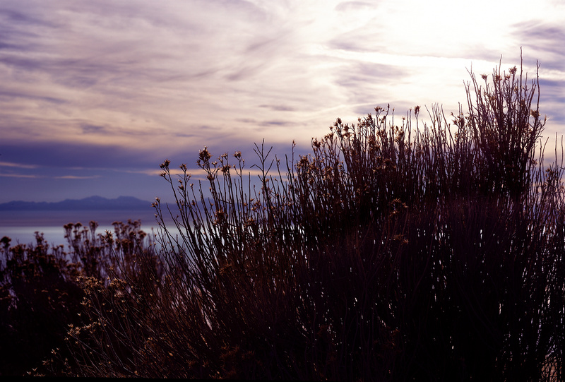 Antelope Island Nov 2017 (4)