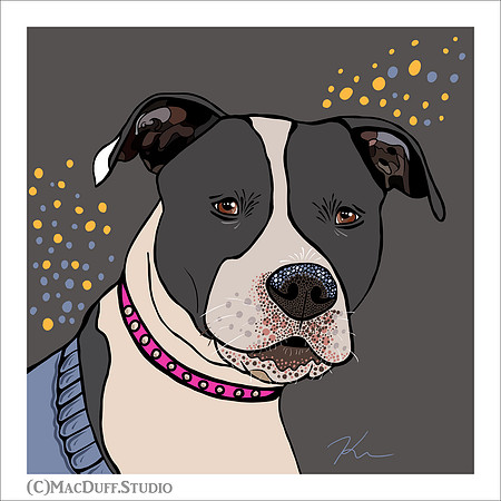 Kayla 2-2018 (C)Karen MacDuff Squires