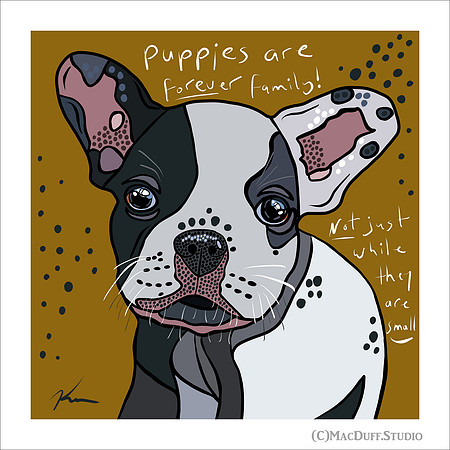 "Forever Family" March 2018 (C)Karen MacDuff Squires