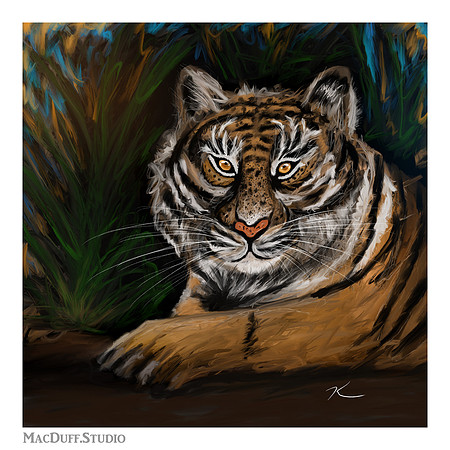 "Tiger" 3-2018 (C)Karen MacDuff Squires