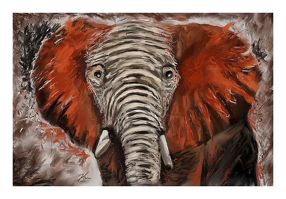 Elephant 2-2017 (C)Karen MacDuff Squires