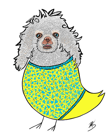 "Sterling The Bird Dog" July 2018