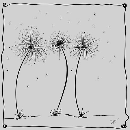 Dandelion -Nov 2018