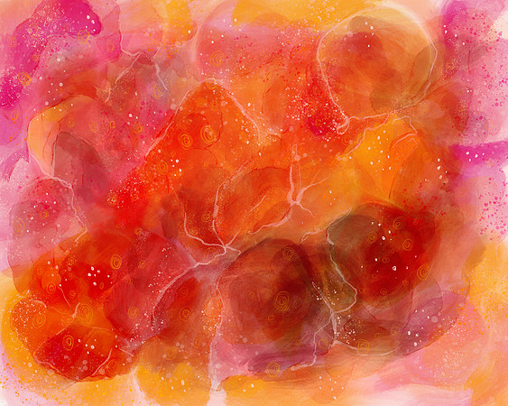 Jelly -March 2019