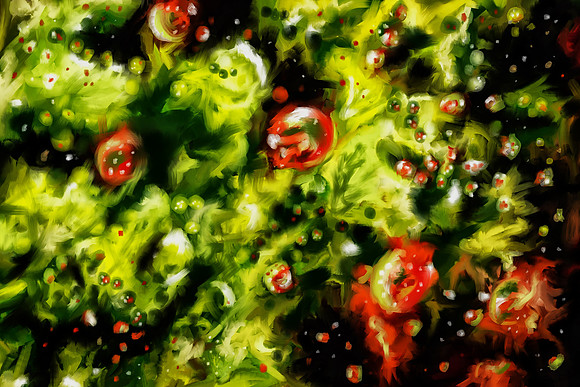 Vegetable_Garden_7-2017