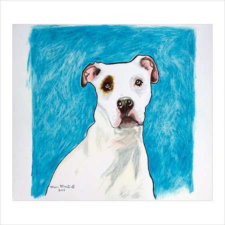 Handsome Boy -2018