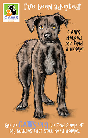 Caws Dog  Poster -Dec 2017