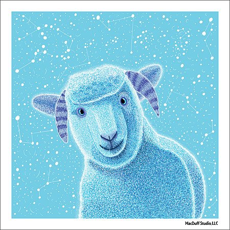 Sheep -Oct 2018