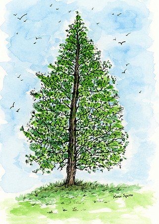 Tree -Watercolor May 2019 (C) Karen MacDuff Squires