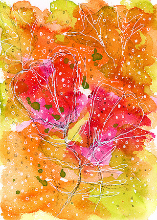 Early Autumn -Aug 2019