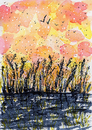 Marsh At Sunset