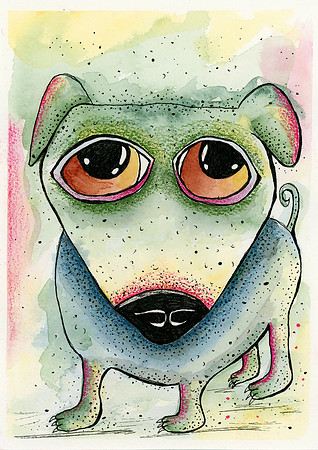 Petie -Nov 2019