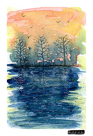 Good Morning -Dec 2019