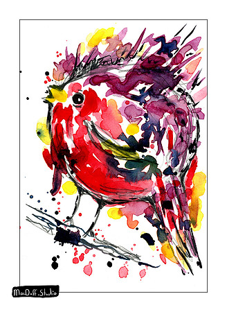 Bird #4 -Jan 2020