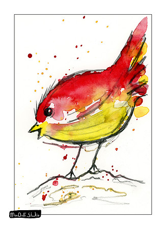 Bird #2 -Jan 2020