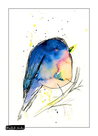 Bird # 3 -Jan 2020