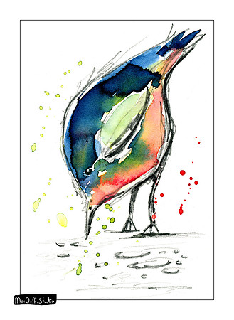 Bird #1  -Jan 2020