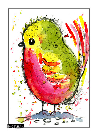 Bird 6 -Jan 2020