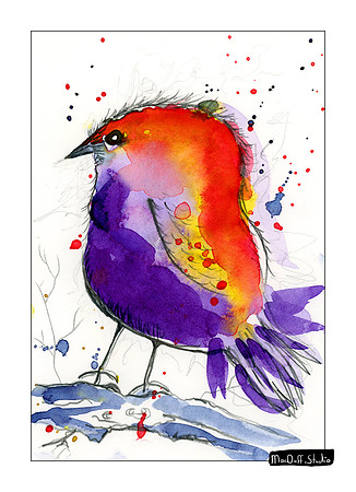 Bird 5 -Jan 2020
