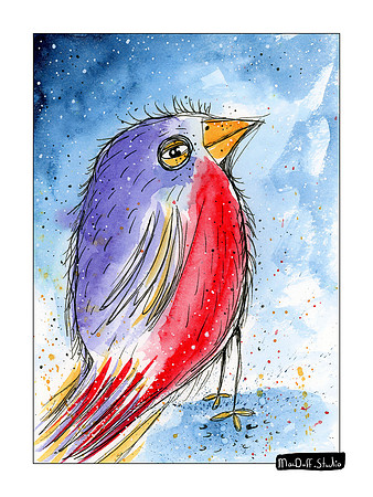 Bird -Jan 19 2020