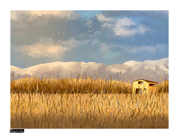 Field Behind Our House -March 2020