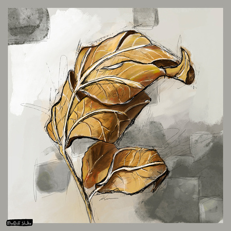 Leaf -Nov 2020