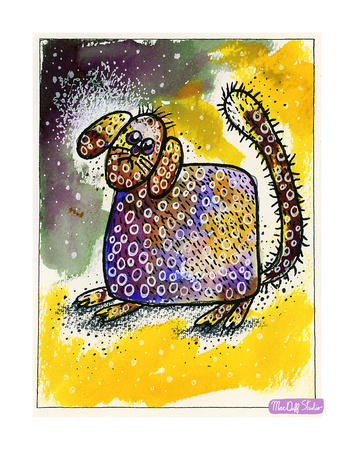 Cat -Jan 11, 2021